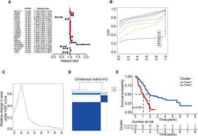 Clustering analysis and prognostic model based on PI3K/AKT-related genes in pancreatic cancer